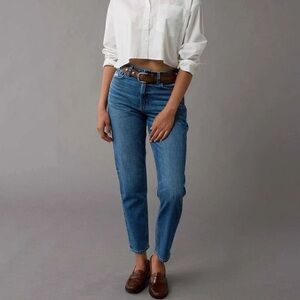 American Eagle Strigid Curvy Mom Jeans